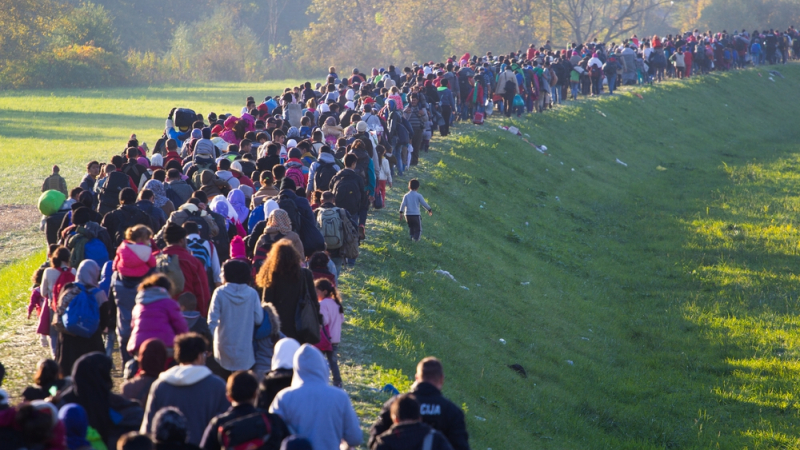 Рекорден мигрантски натиск върху България за 2016 година 