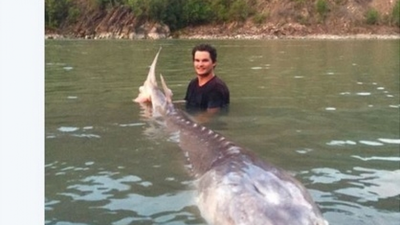 Рибари извадиха от реката 80-годишно легендарно чудовище (СНИМКИ)