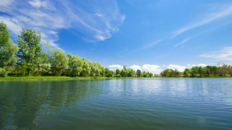Чудовище пори водите на германско езеро, кметът на Зьохтенау забрани къпане и риболов