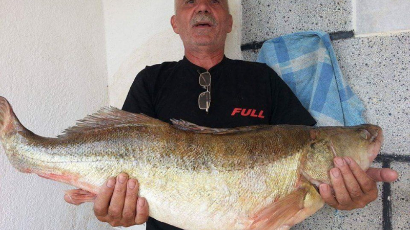 Рибар пребори 25-килограмова бяла риба в язовир “Кърджали”