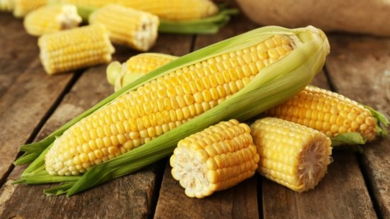  Еврокомисията разреши 5 вида ГМО, били безопасни