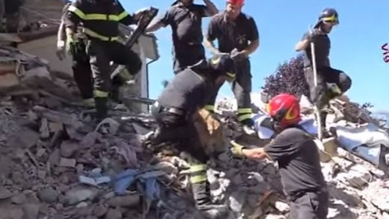 Чудо! Спасиха куче след 9 дни в развалините на рухнала от труса къща в Италия (ВИДЕО)
