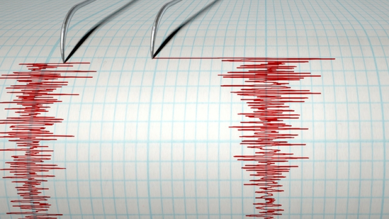 Силно земетресение е регистрирано край Камчатка