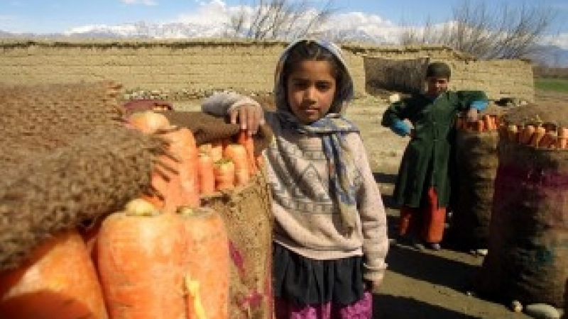 Мръсните пари на Афганистан, или как работи системата хавала  
