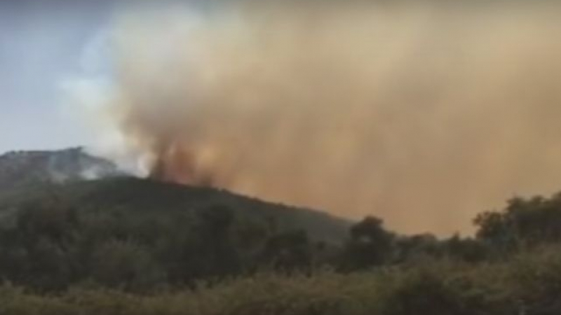 ВИДЕО от огнения ад на Тасос, приклющил десетки българи 