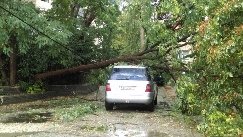 Апокалипсис във Видин: Паднали дървета, смачкани коли и наводнение мазета (СНИМКИ/ВИДЕО)