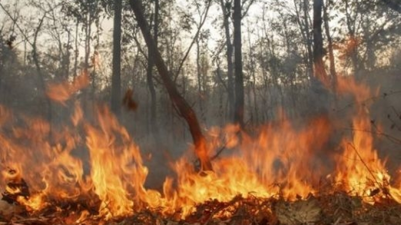 Важно за шофьорите: Огнената стихия край „Тракия” затвори магистралата