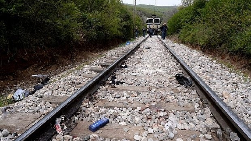Ужасен инцидент! Влак блъсна стадо от 15 крави край Пловдив