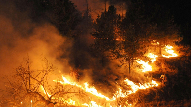 Огнена стихия изпепелява всичко до Бобошево