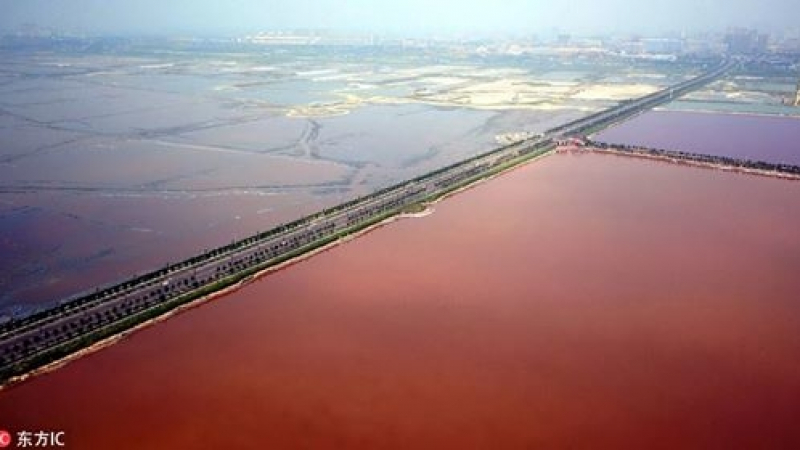 Китайското мъртво море се превърна в кърваво езеро (СНИМКИ)
