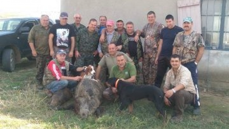 На старта на сезона: Катаджия повали 200-килограмов звяр край Дунав (СНИМКА)