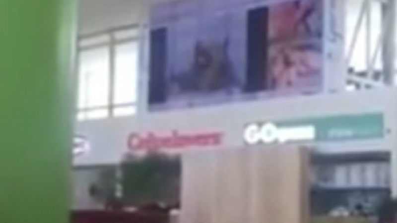 Шокиращо: Порно сцени пуснаха на екраните в търговски център (ВИДЕО 18+)