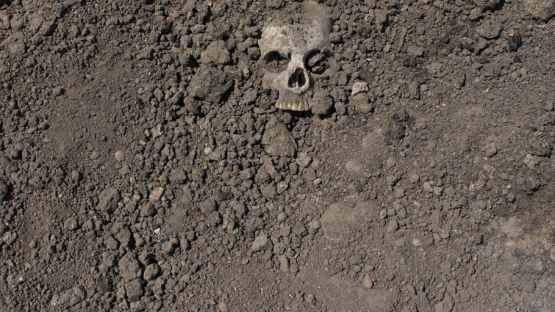 Зловеща находка! Тракторист откри човешки скелет при оран