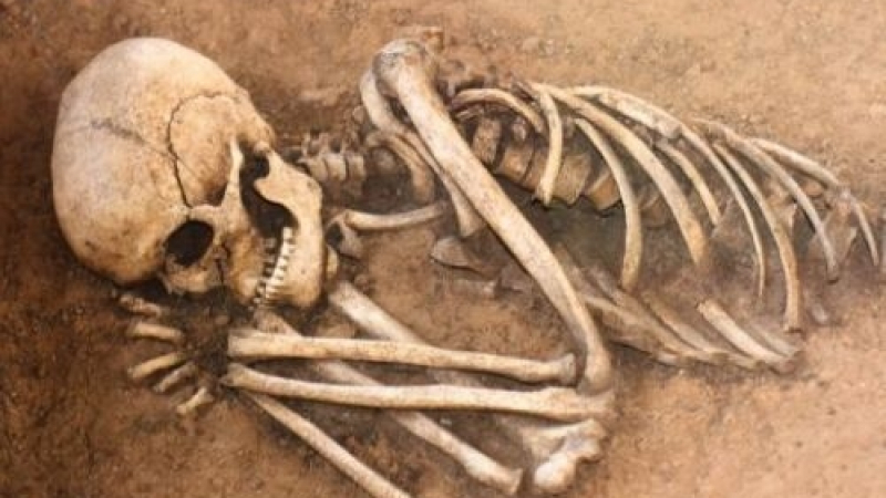 Идентифицираха скелета, открит в нива в Монтанско