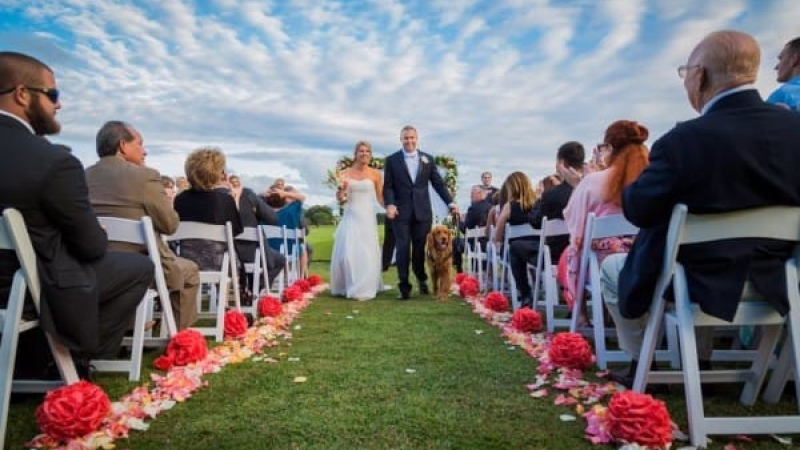 На пръв поглед изглежда като обикновена сватба, но когато видите кой върви по пътеката с младоженците, ще се изумите (СНИМКИ)
