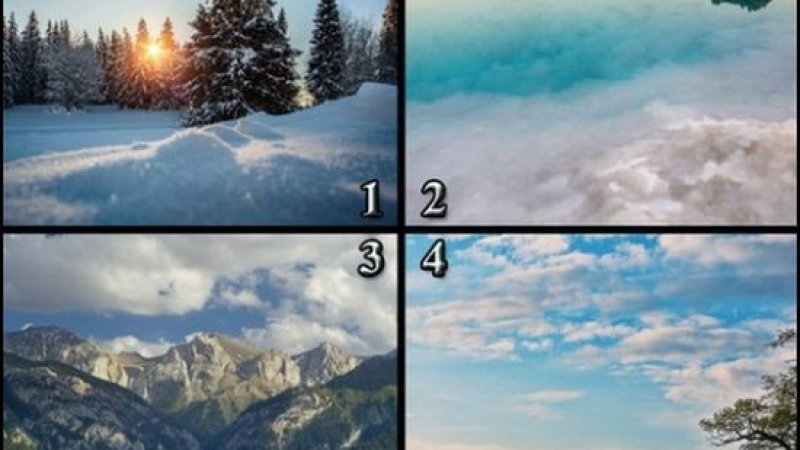 Тест: Изберете картина и вижте кой е скритият ви талант