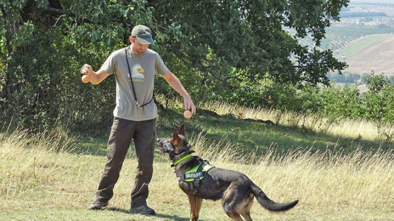 Николай и кучето Барс са първият екип в страната за откриване на убити и отровени животни