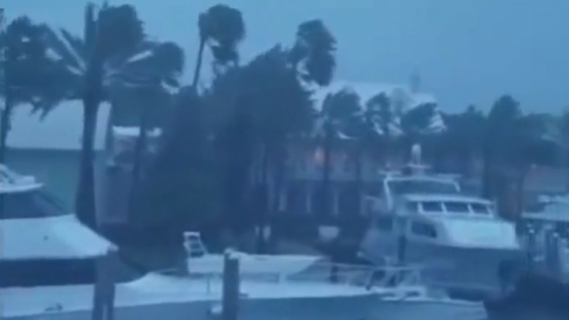 Най-малко девет души са загинали в САЩ от урагана „Матю“ (ВИДЕО)