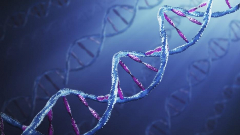 10 интересни факта за ДНК