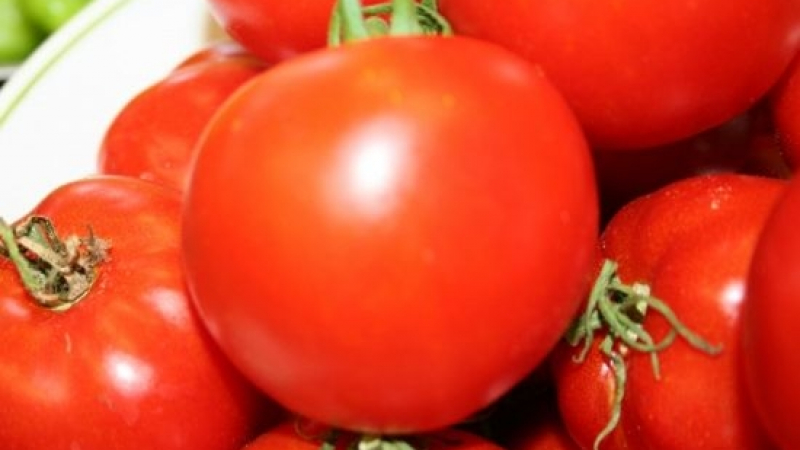 Стана ясно защо доматите губят вкуса си в хладилника