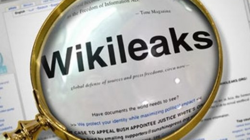 Компютърен вирусолог от БАН попиля „Уикилийкс”