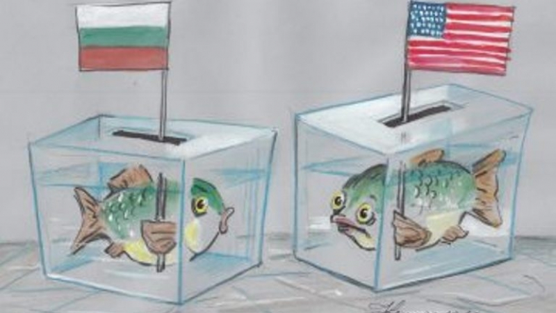 Президентските избори в България и САЩ: Културни аристократи в сравнение с шоуменщина и простащина