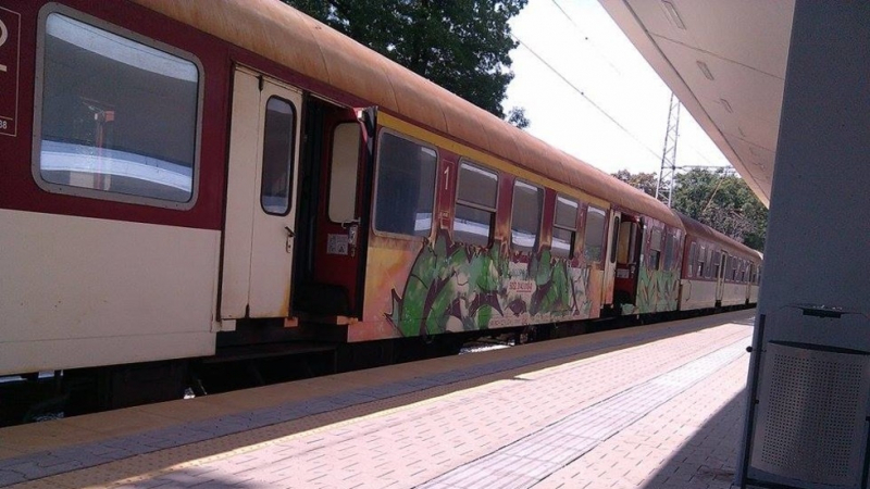 Цял вагон с мигранти разтревожи пътниците от влака Видин-София 