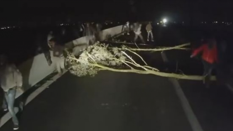 Пак ужас в Кале! Мигранти препречиха с дървета пътя на камион, нападнаха шофьора (ВИДЕО)