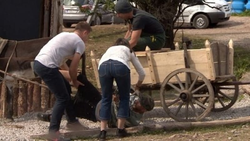 Екшън във „Фермата“! DEE пада от каруца, Калин в критично състояние