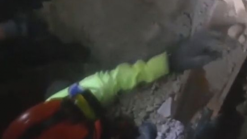 Куче извади щур късмет, извадиха го от руините на земетресението в Италия (ВИДЕО)