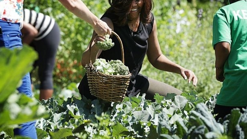 Първата жертва на Тръмп в Белия дом: Градината на Мишел Обама! 