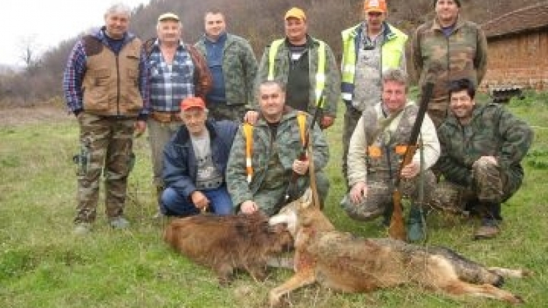 Авджиите в Берковица с богат улов! Ловец гръмна 40-килограмова вълчица (СНИМКА)