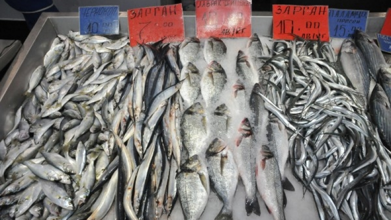 Ето какво правят масово търговците на риба преди Никулден (ВИДЕО)