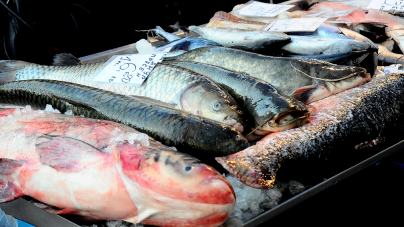 От БАБХ разкриха какво се случва по сергиите с риба тази година