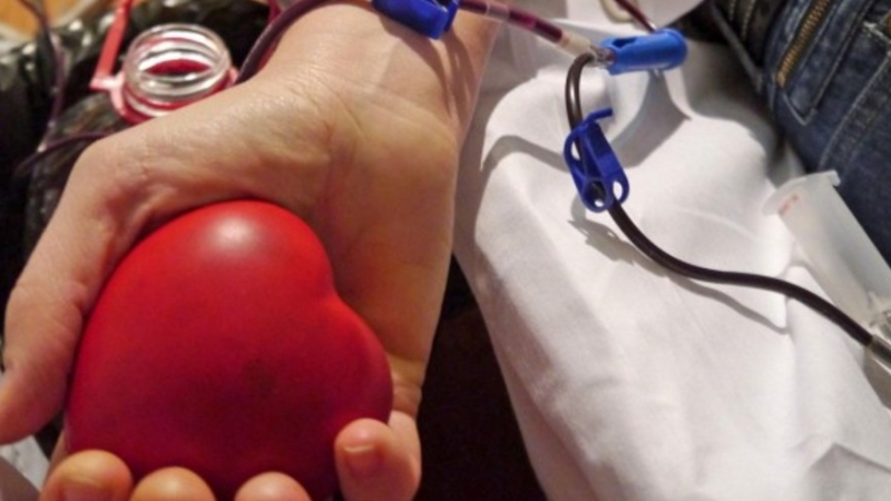 Помогнете! Варненски лекари спешно търсят дарители с кръвна група "А"