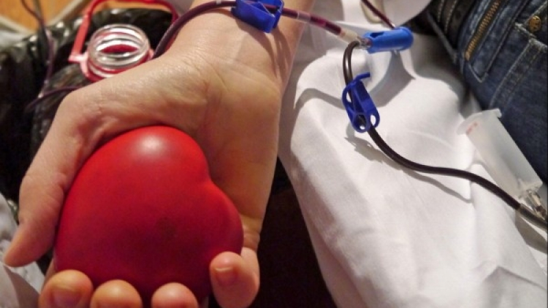 Важно, помогнете! Болници в София организират акция по кръводаряване заради инцидента в Хитрино