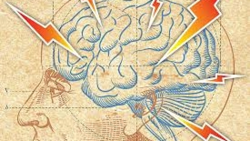 Учени: Ще можем да инсталираме знания в мозъка си 