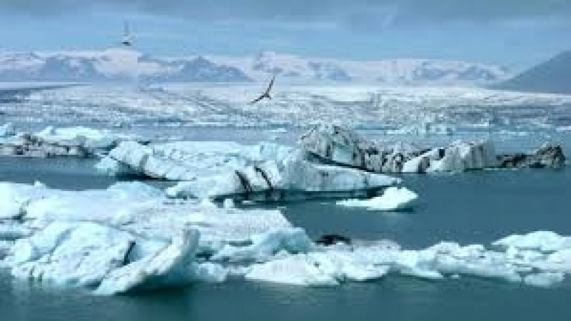 В Арктика температурите отбелязват рекордни стойности