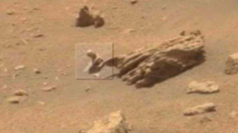 Много странна рептилия броди из Марс (СНИМКИ)