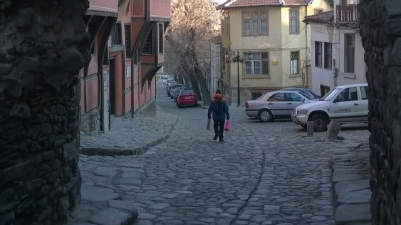 Уникално! Ранен щъркел събрал двама влюбени в Пловдив 