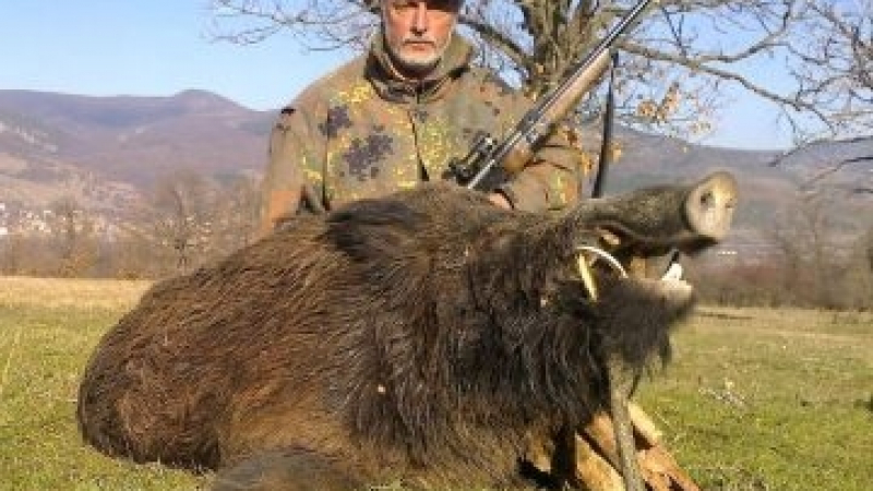 Фотограф повали глиган великан в Балкана (СНИМКА)