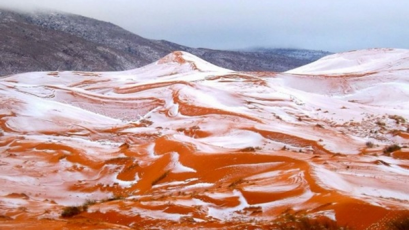 Аномалия: Първи снежинки паднаха в Сахара от 37 години насам (СНИМКИ)