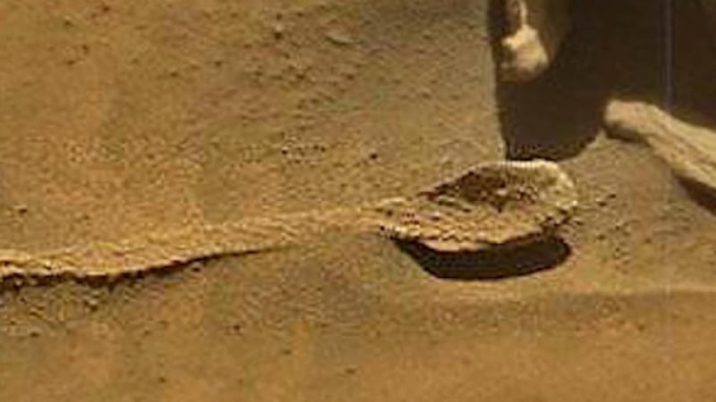 Тези КАДРИ от марсоходите накараха учените да се хванат за главите