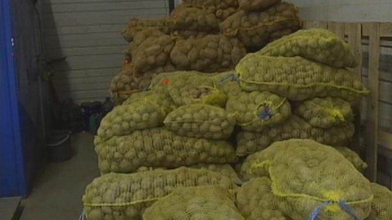 Дарителска акция събра над 20 тона картофи за жителите на Хитрино