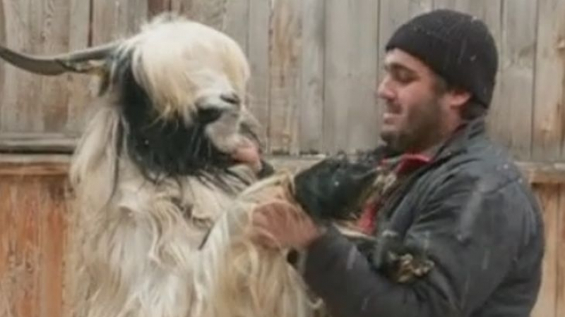  Мъж от Банско отглежда 10 години кози, за да направи кукерски костюм и да счупи рекорд на Гинес (ВИДЕО)