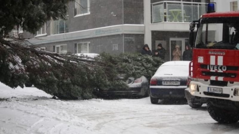 Бруталната ситуация във Варна продължава! Тузарски "Мерцедес" е "пострадал" (СНИМКА)