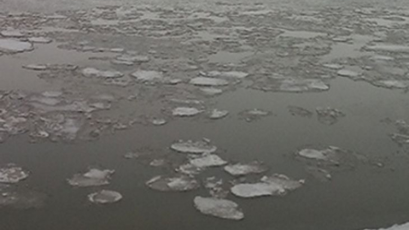 Ледени късове покриха Дунав (СНИМКА)