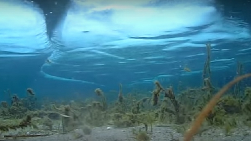 Виж замръзналото Охридско езеро, заснето под вода (ВИДЕО)