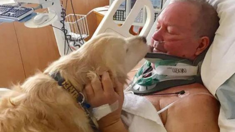 Куче герой спаси живота на стопанина си като лежа 24 часа върху него и го предпази от измръзване (СНИМКИ)