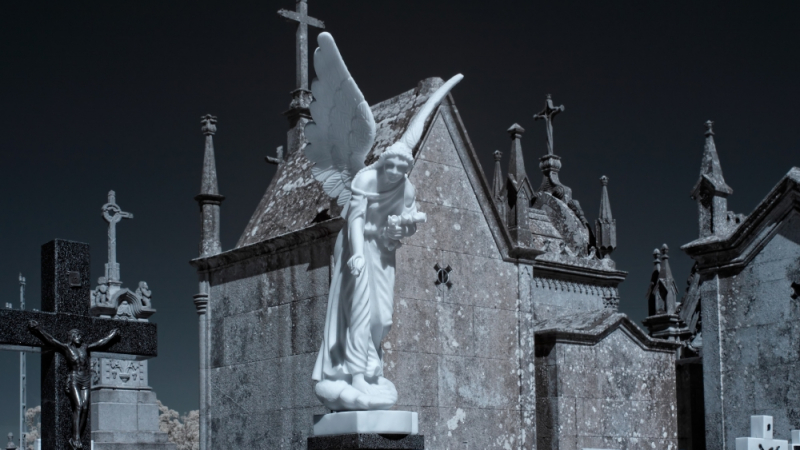 Мистична находка в Полша! Откриха гробища със скелети на осакатени "вампири"